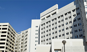 大学病院